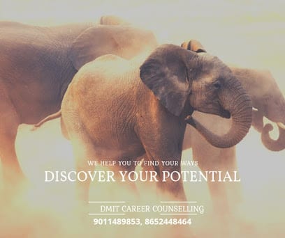 DMIT Career Counselling and Midbrain Activation Training