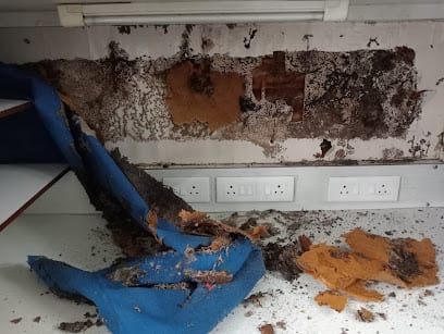 Pest Ö Master Services