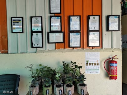 Plantozone Green India