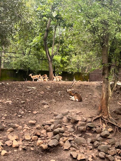 Sankalp Swayam Rojgar Kendra